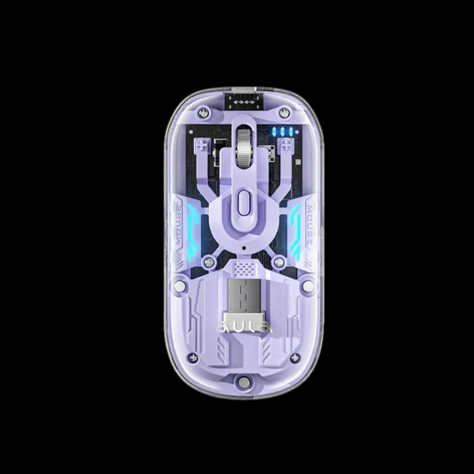 Aula AM210 Wireless 2.4G BT Gaming Mouse